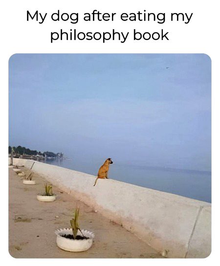 Memes & Satire image