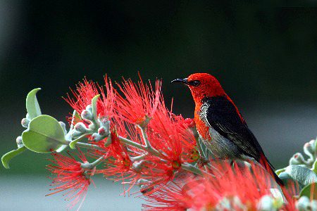 Beautiful Nature image