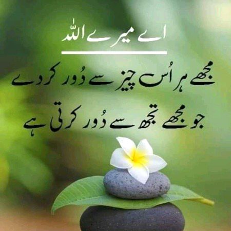 Islamic Quotes image