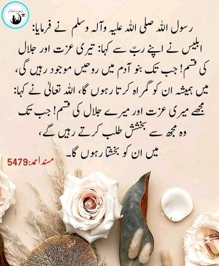 Islamic Quotes image