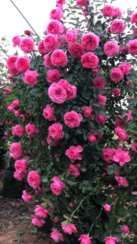 Beautiful Nature image