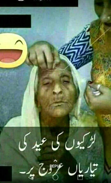 Memes & Satire image