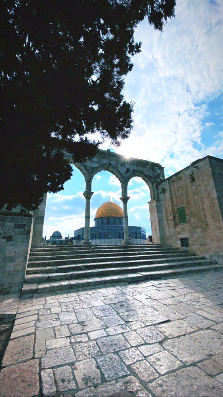 Beautiful Structures image