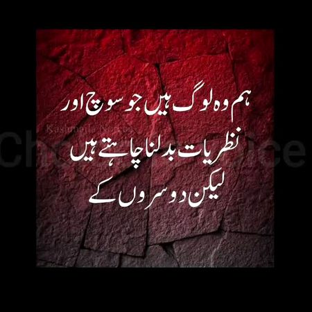 Memes & Satire image