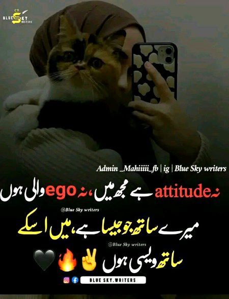 Attitude Quotes image