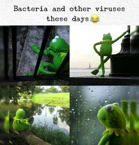 Memes & Satire image