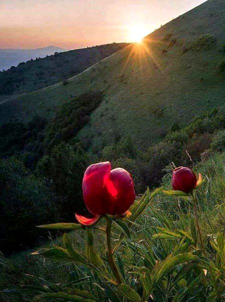 Beautiful Nature image