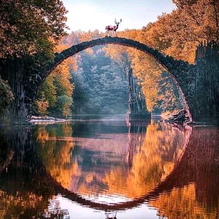 Beautiful Nature image
