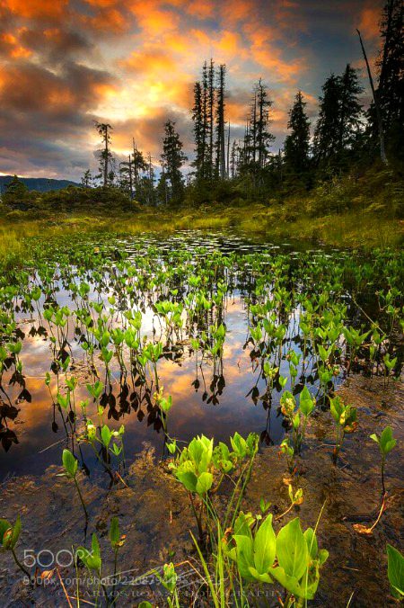 Beautiful Nature image