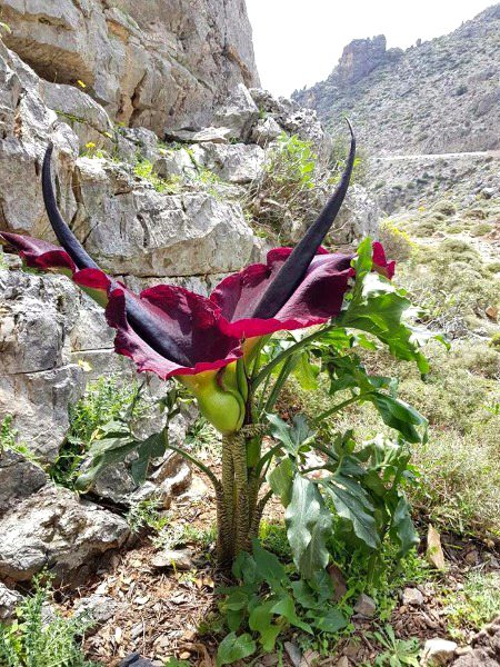 Beautiful Nature image