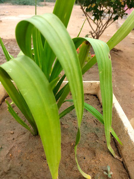 Beautiful Nature image