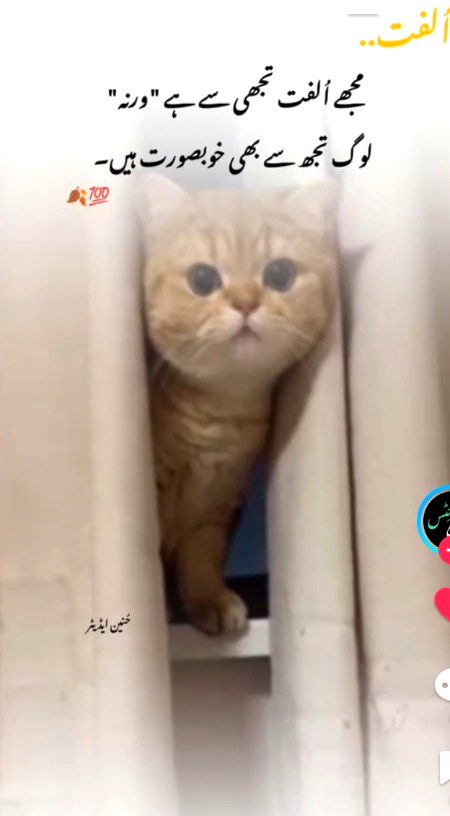 Romantic Poetry image