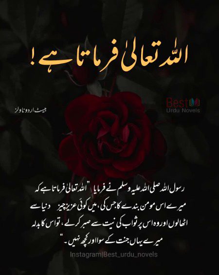 Islamic Quotes image