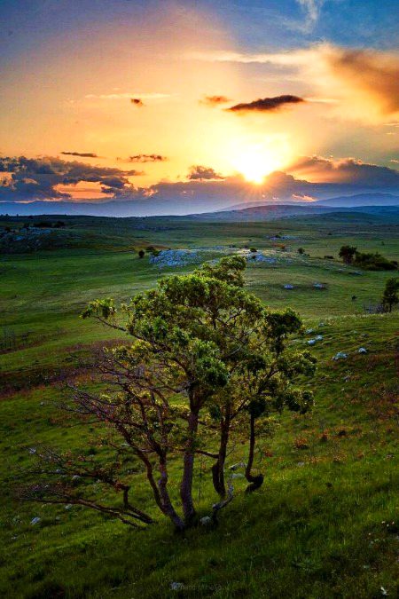 Beautiful Nature image