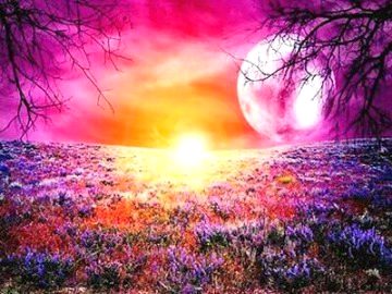 Beautiful Nature image
