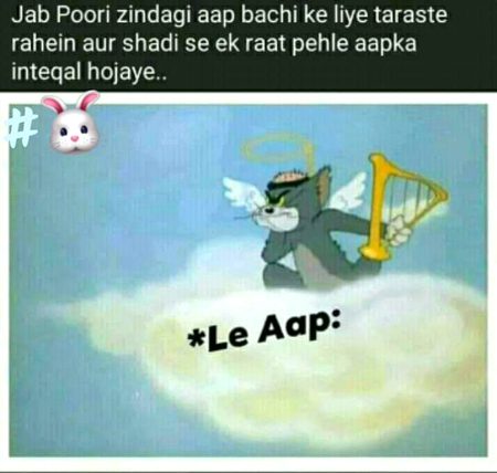 Memes & Satire image