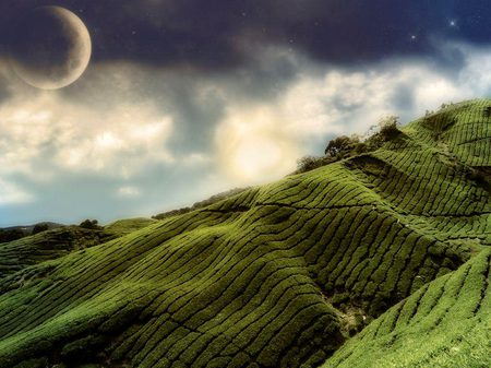 Beautiful Nature image