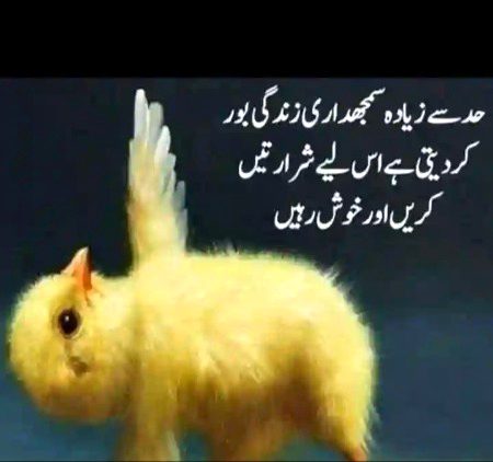Social media post