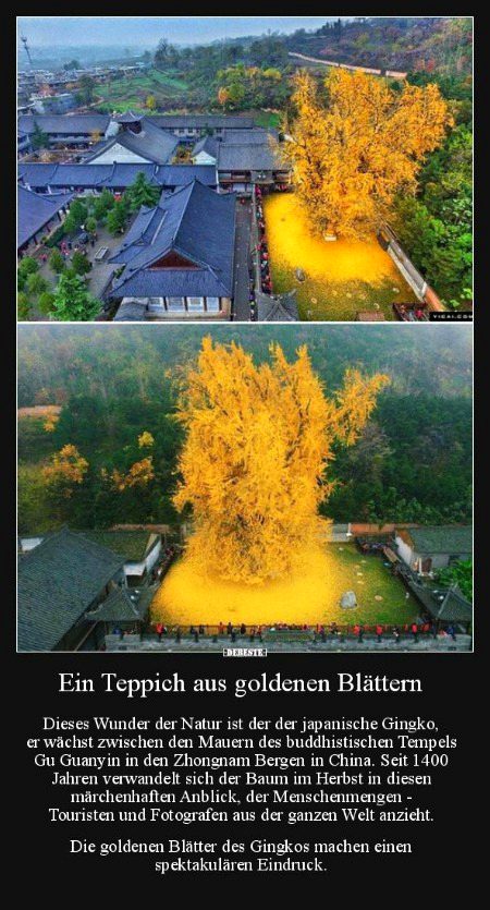 Interesting Posts image