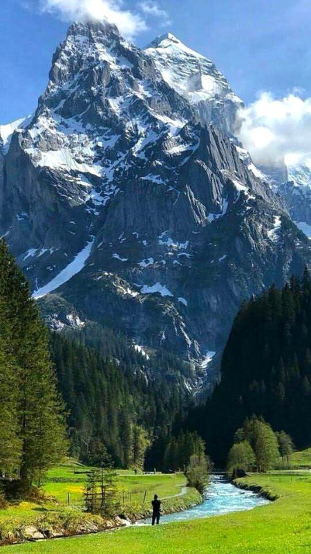 Beautiful Nature image