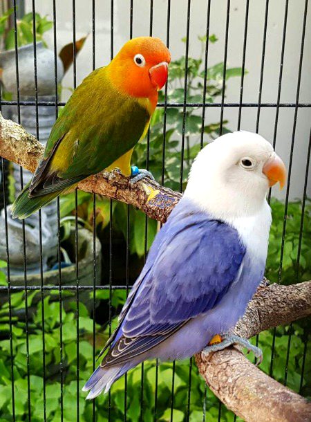 Beautiful Nature image