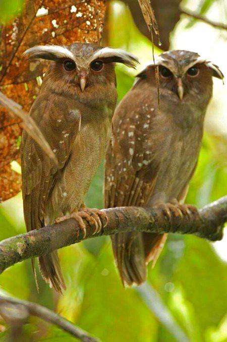 Beautiful Nature image