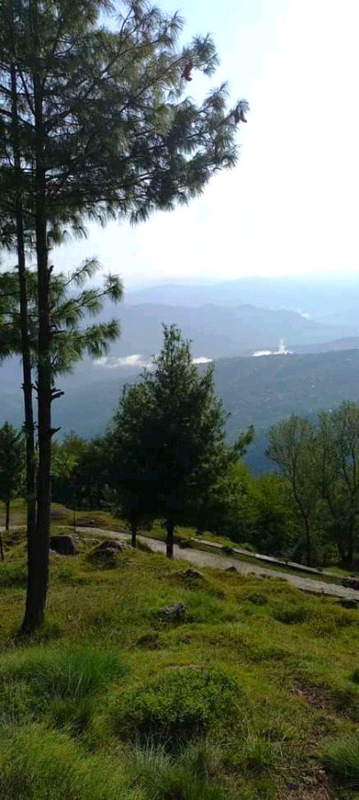 Beautiful Nature image