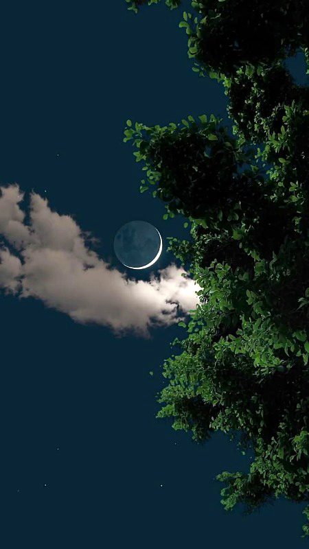 Beautiful Nature image