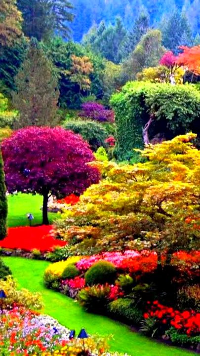 Beautiful Nature image