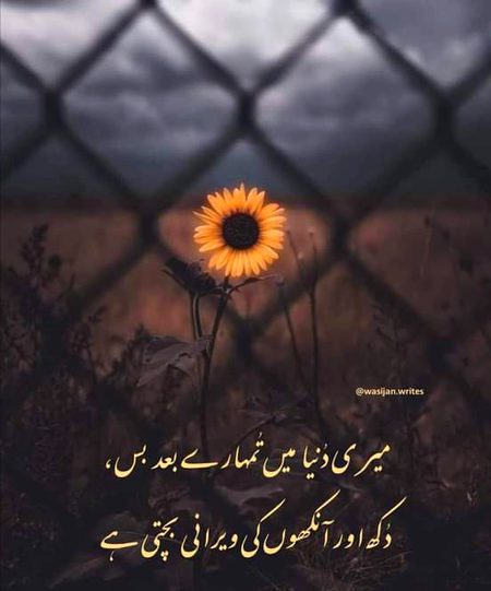 Sad Poetry image