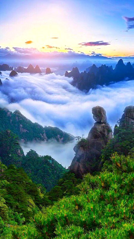 Beautiful Nature image