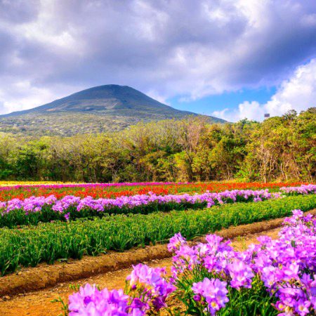 Beautiful Nature image