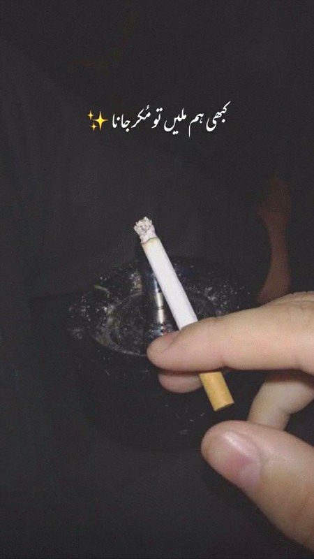 Attitude Quotes image