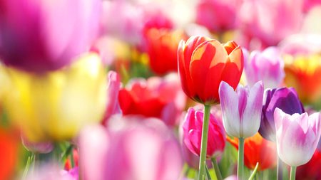 Beautiful Nature image