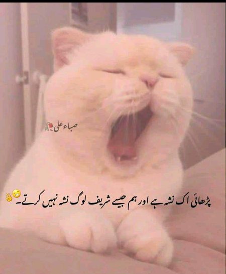 Jokes image