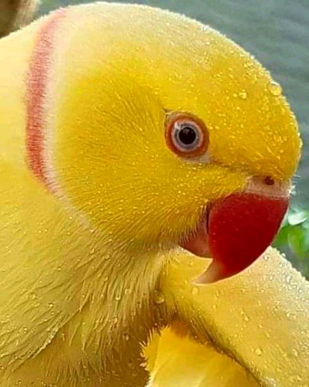 Beautiful Nature image