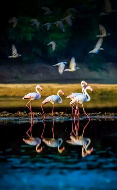Beautiful Nature image