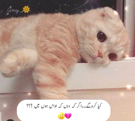 Sad Poetry image