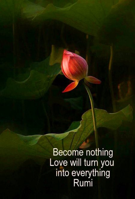 Motivational Quotes image