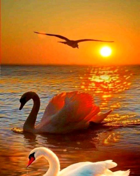 Beautiful Nature image