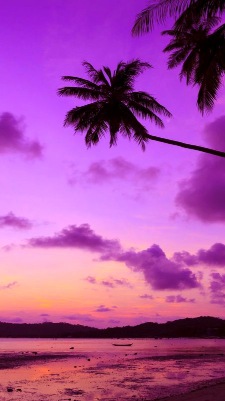 Beautiful Nature image