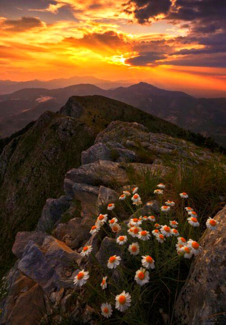 Beautiful Nature image