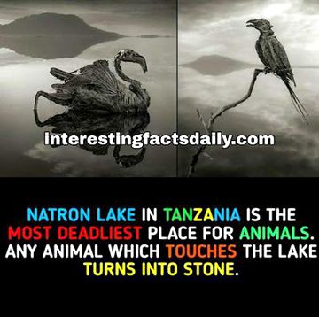 Interesting Posts image