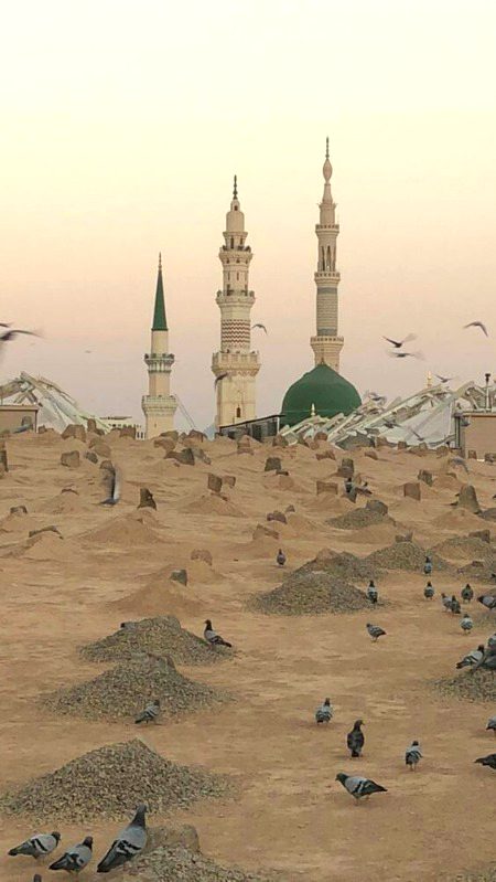 Beautiful Structures image