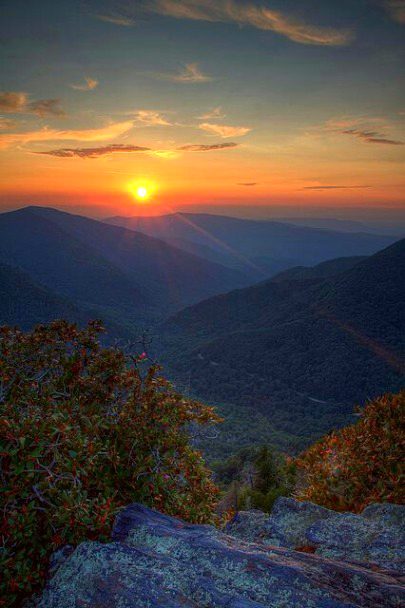 Beautiful Nature image