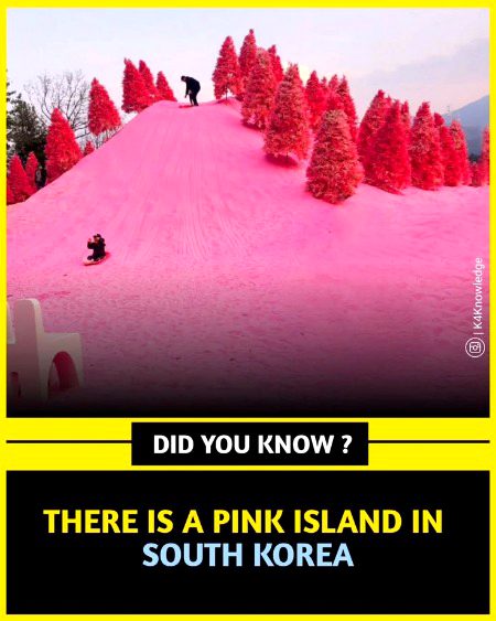 Interesting Posts image