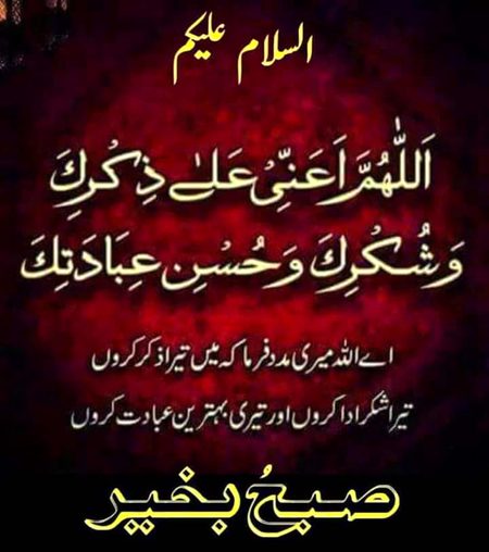 Islamic Quotes image