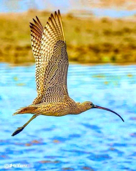 Beautiful Nature image