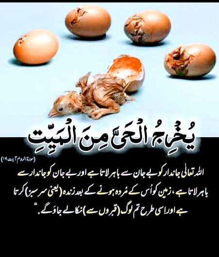 Islamic Quotes image
