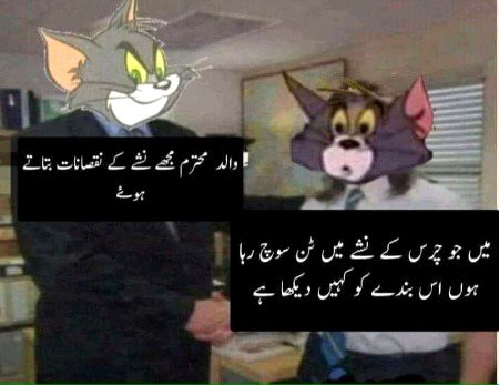 Memes & Satire image